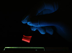Photo of a vial of anti-cancer nano ships glows red under a black light.