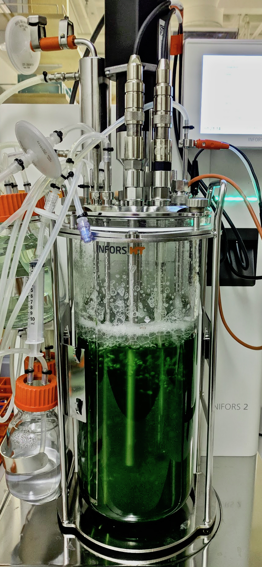 An algae bioreactor