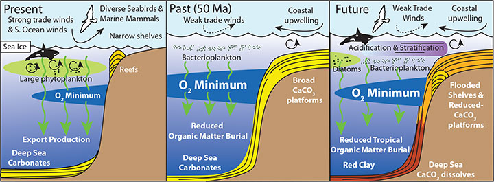 Changing marine life characteristics: Comparison of present, past, and future ocean ecosystemstates. Image: Science