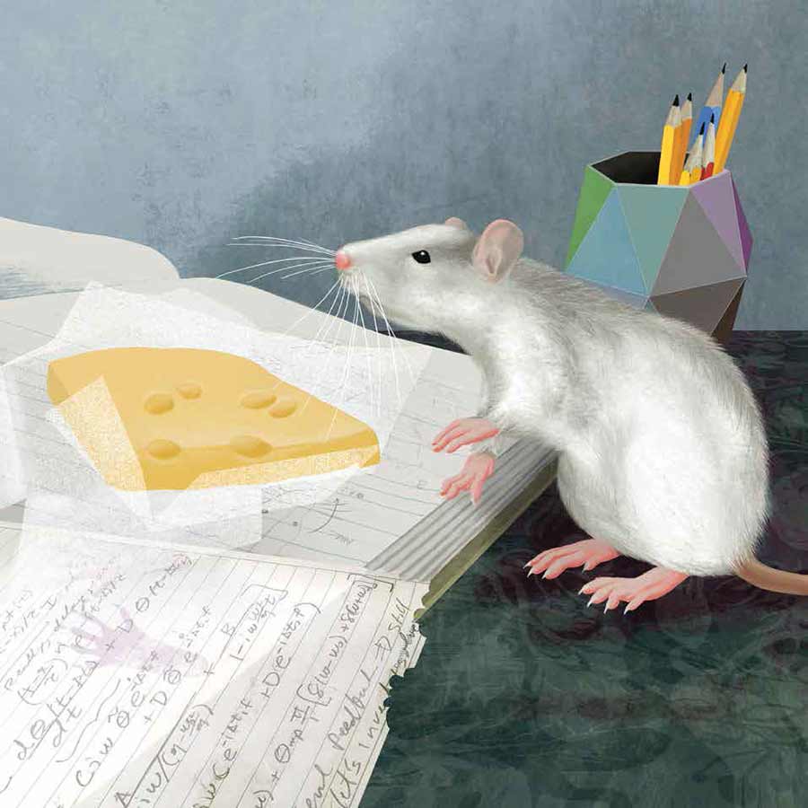 illustration of rat with cheese