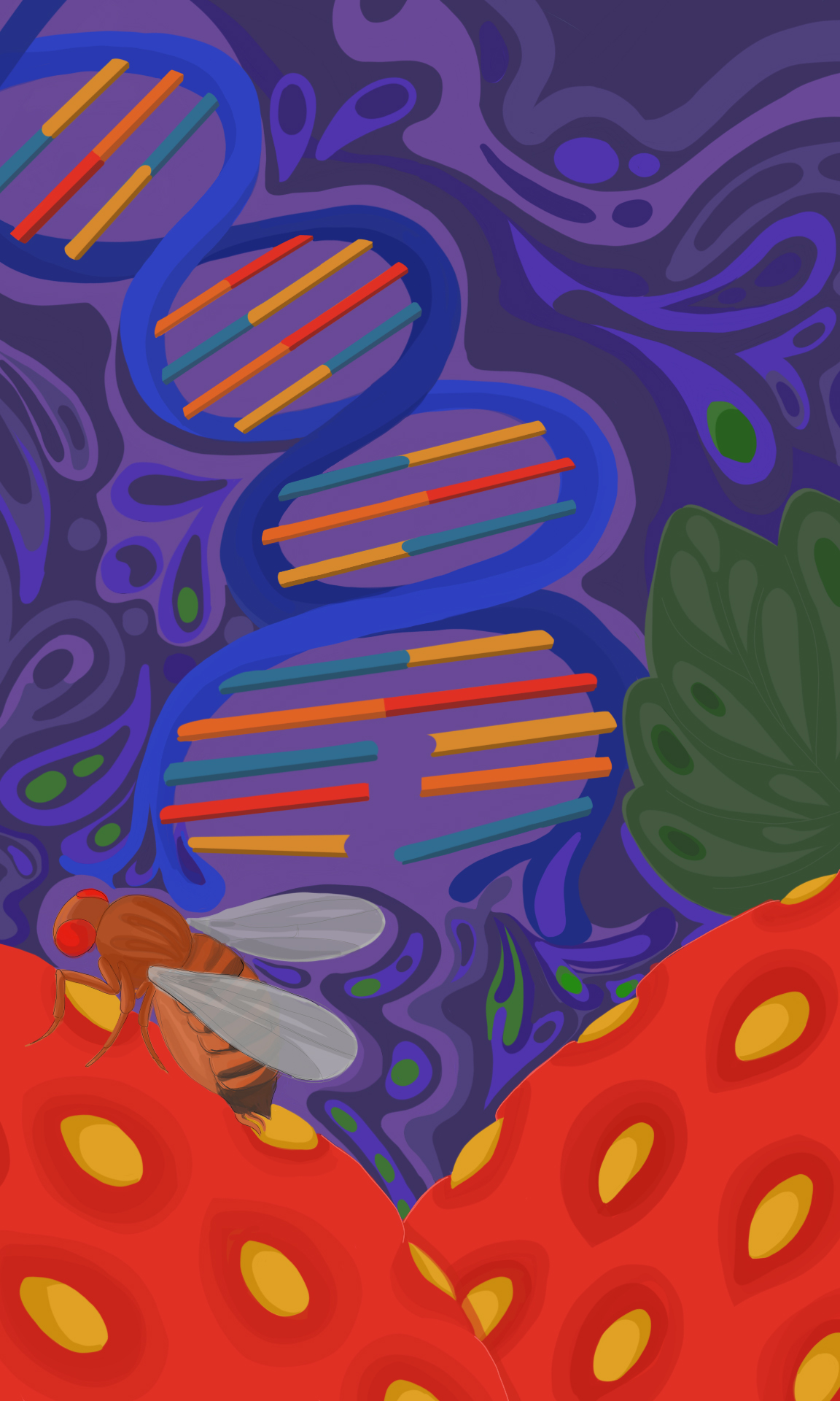 Artistic depiction of fruit and Drosophila suzukii