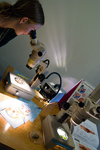 Looking through microscopes (Photo / Victor W. Chen)