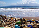 Photo of Garbage Patch