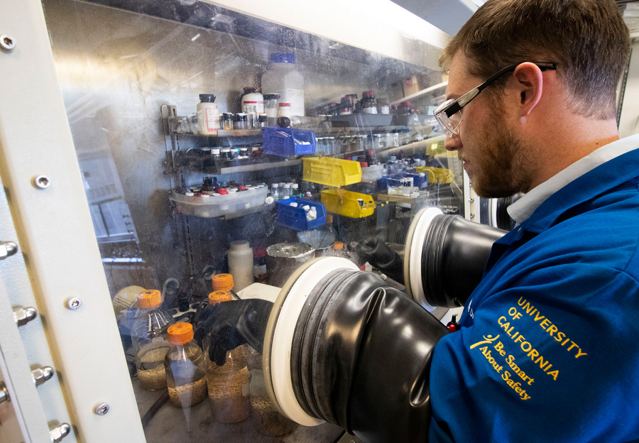 PhD candidate Myles Drance at work through the glovebox in the Figueroa Group lab. Photo by Michelle Fredricks, UC San Diego Physical Sciences