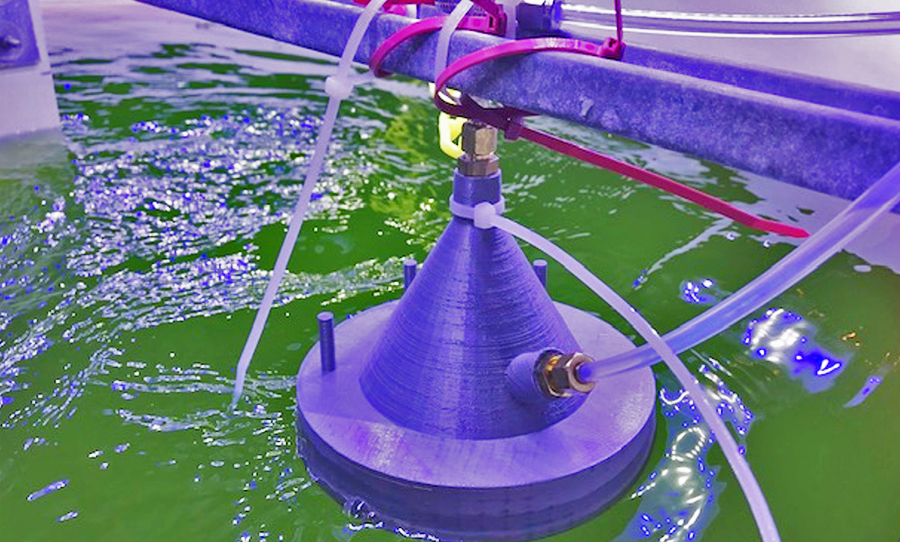 Newswise: Chemists Develop New Technology that Detects Algae Crop Health