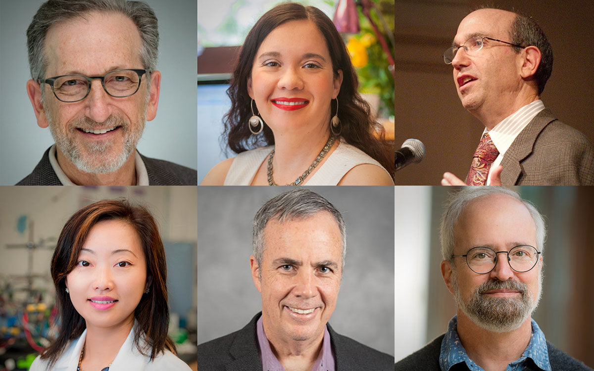 A mosaic of portraits of AAAS Fellows winners: Gary Firestein, Olivia Graeve and Michael Kalichman, Y. Shirley Meng, Victor Nizet and Brian Palenik