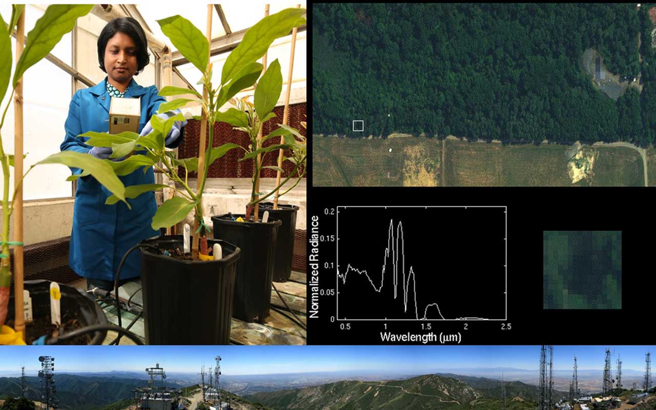Collage of UC Riverside's technological living laboratories for addressing food insecurities, hyperspectral images for detection and characterization of vegetation health and moisture content and panorama from the networking hub atop Santiago Peak.
