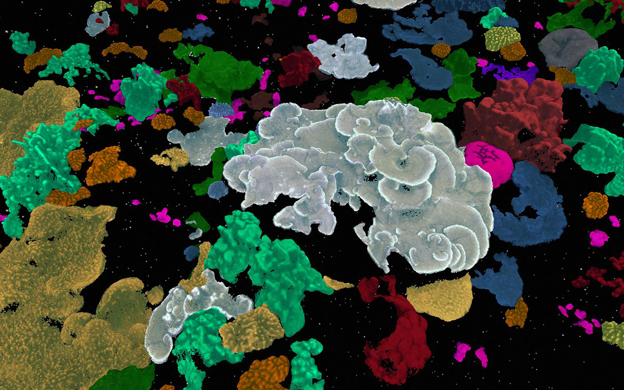 image of coral reefs with color overlays indicating specific coral species on the reef.