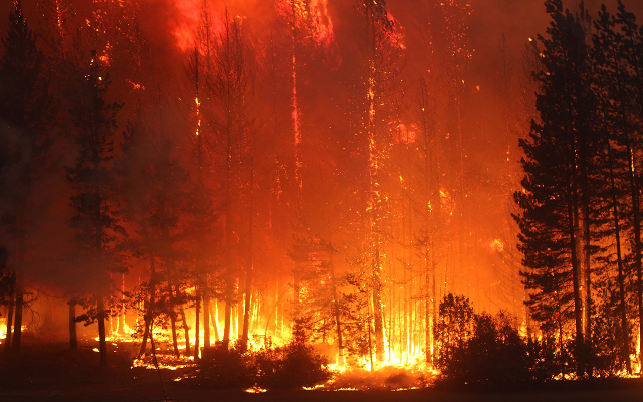 Wildfire burning near Forest Glen, CA.