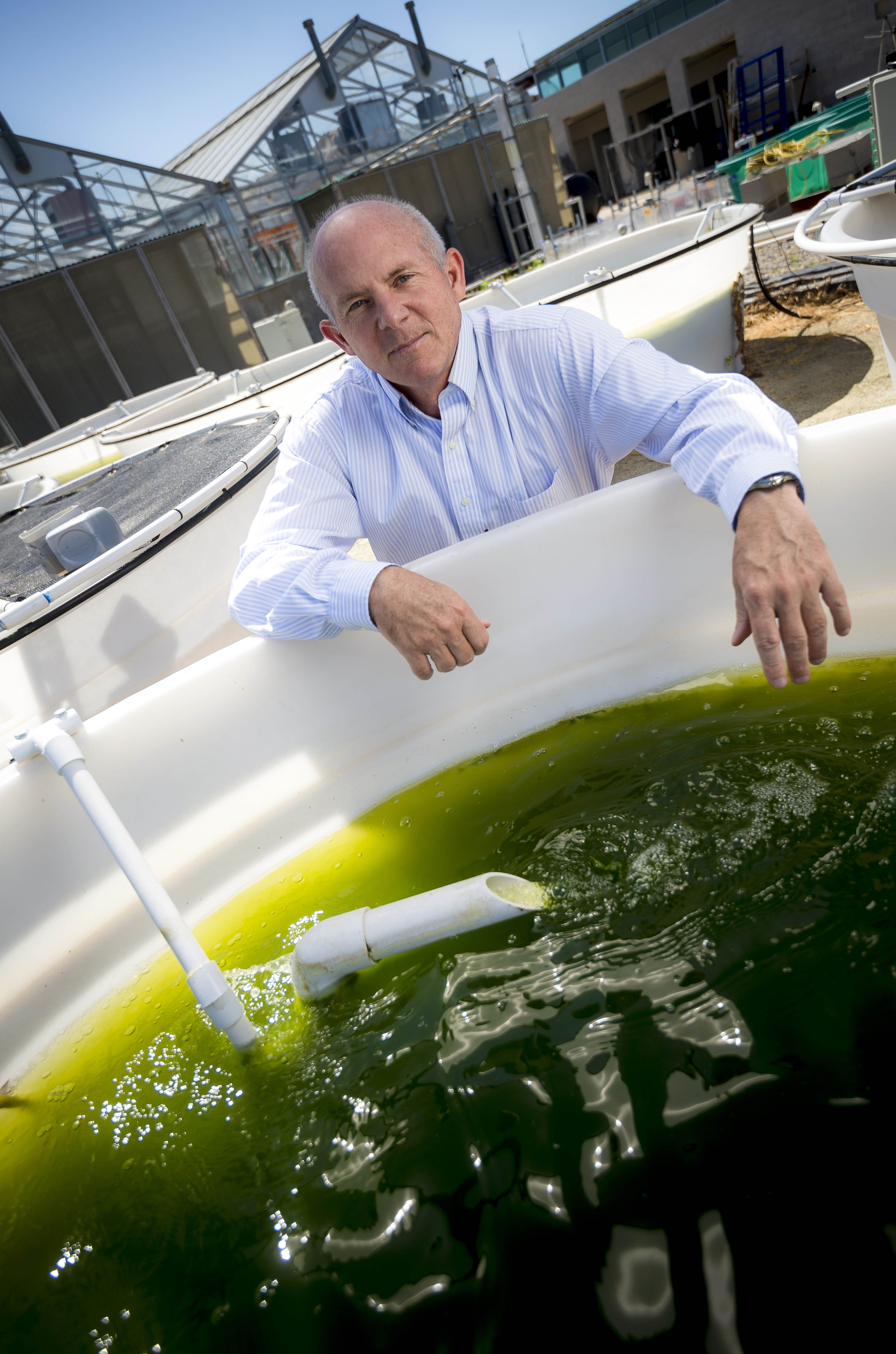 Stephen Mayfield at algae tank