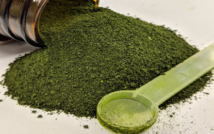Newswise: Algae Shown to Improve Gastrointestinal Health