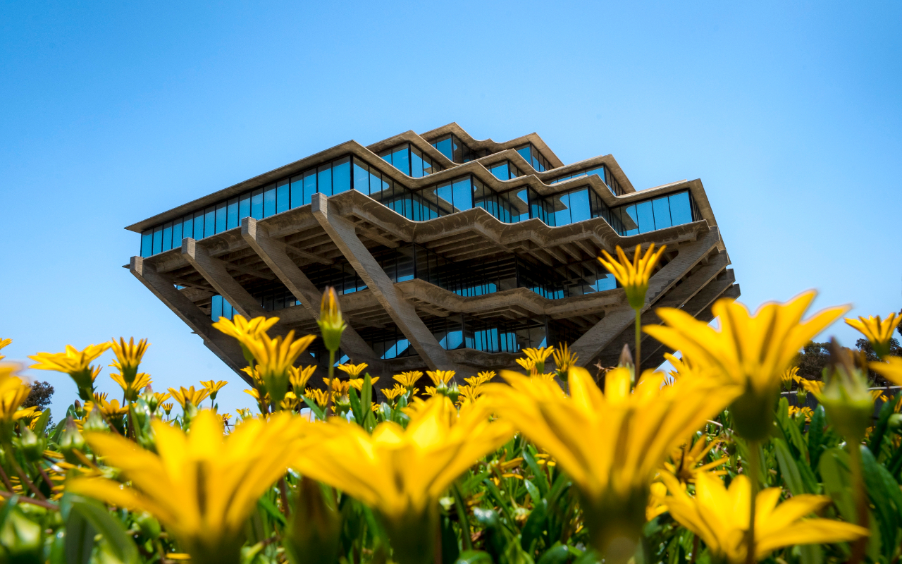 Geisel library with spring flowers