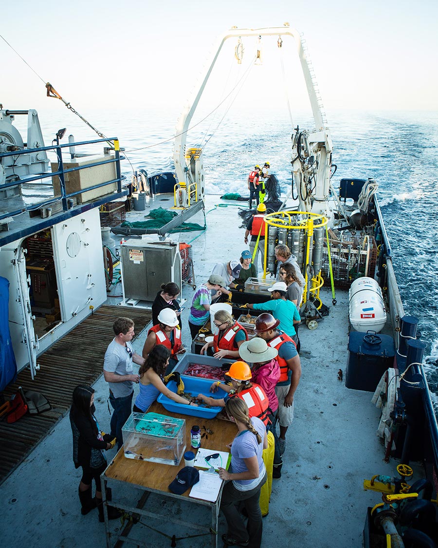 Students aboard R/V Robert Gordon Sproul in 2015.