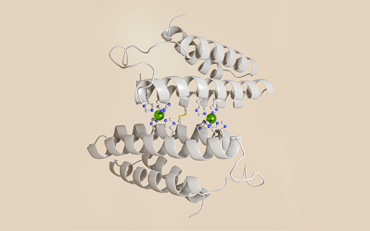 Computer illustration of protein structure