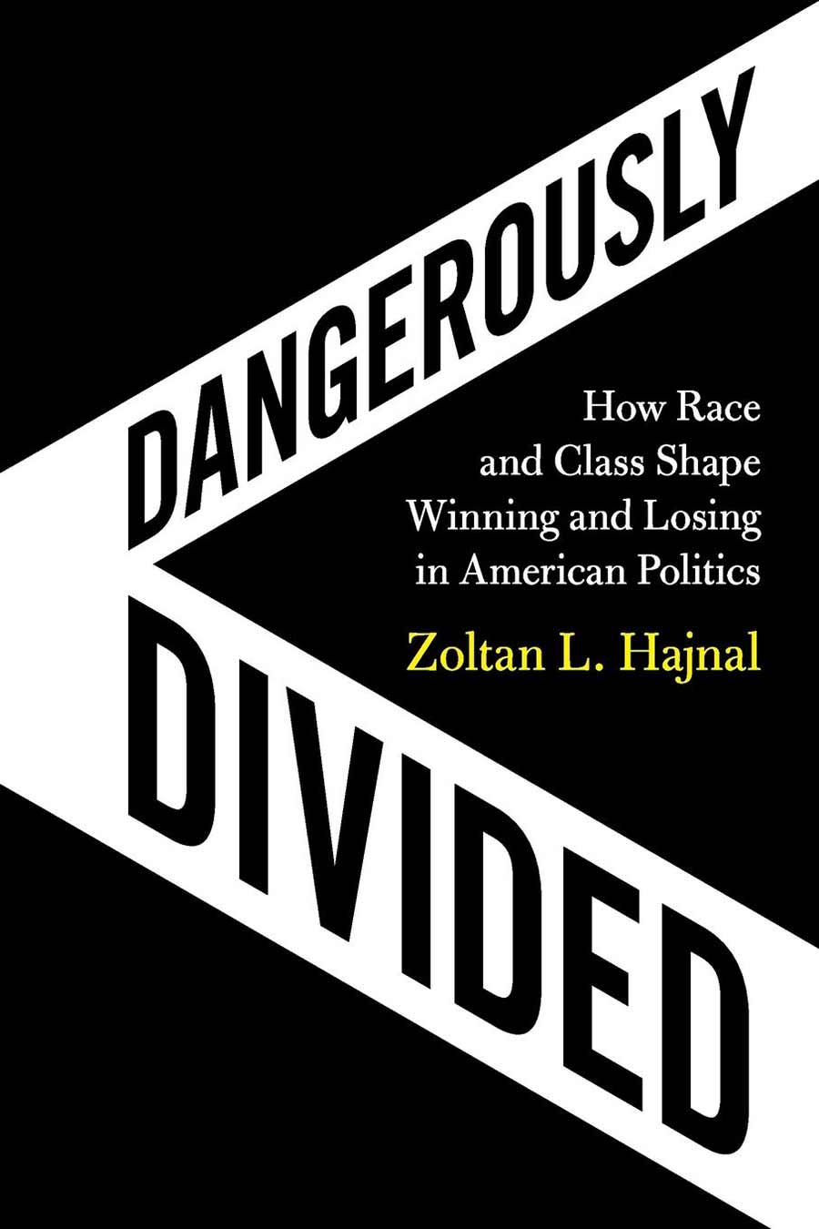 Newswise: A Nation Dangerously Divided: Race Shapes Who Wins and Who Loses in U.S. Democracy