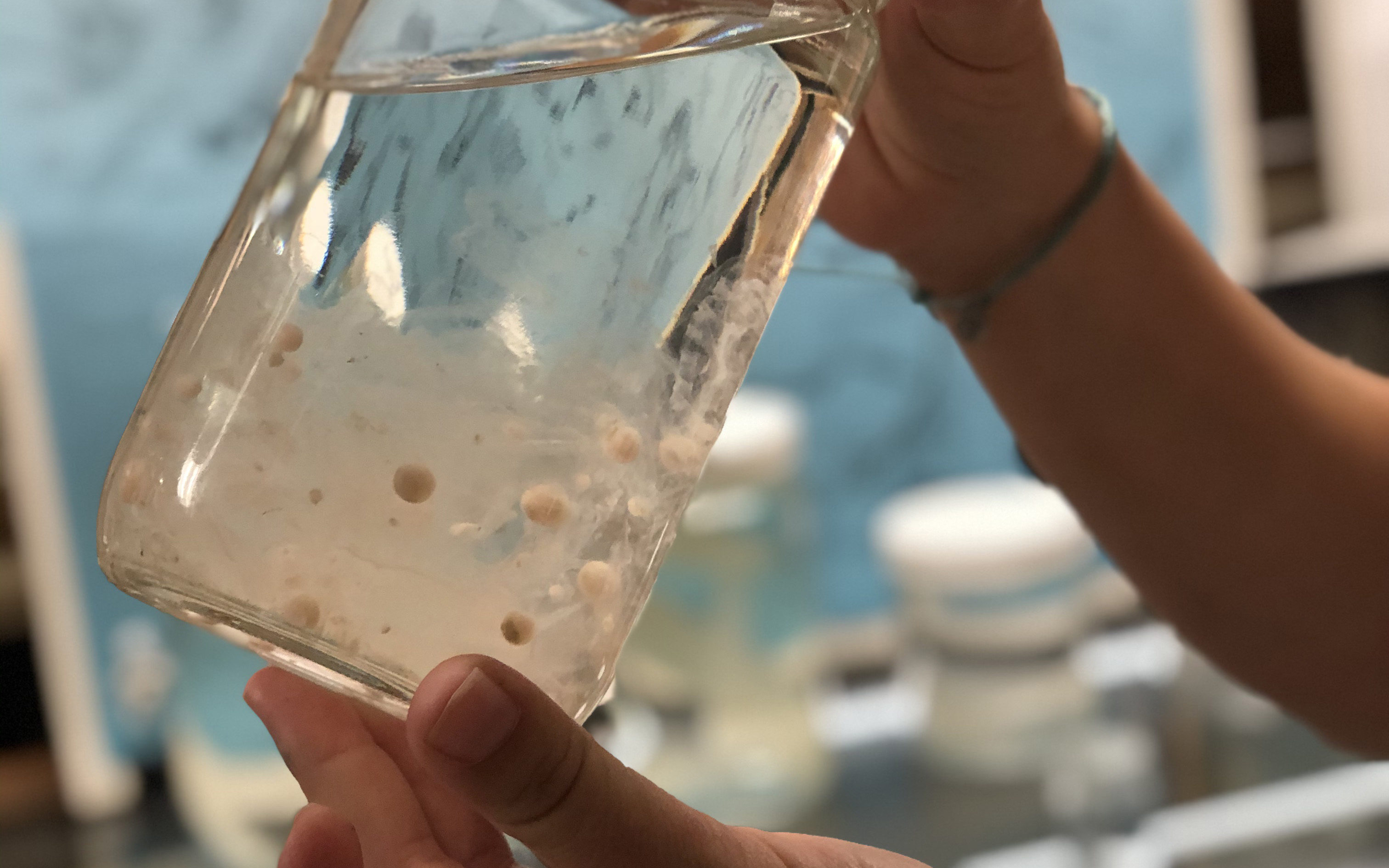 Microplastics a million times more abundant in the ocean than previously thought